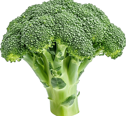 You can place an order through our website by selecting your desired products, adding them to the cart, and checking out. Our Biona Organic Granola with Wild Berries is just the thing to get you out of bed. The goodness of rolled wholegrain oats are combined with a variety of tangy organic berries, and baked into crispy clusters that are as nutritious.